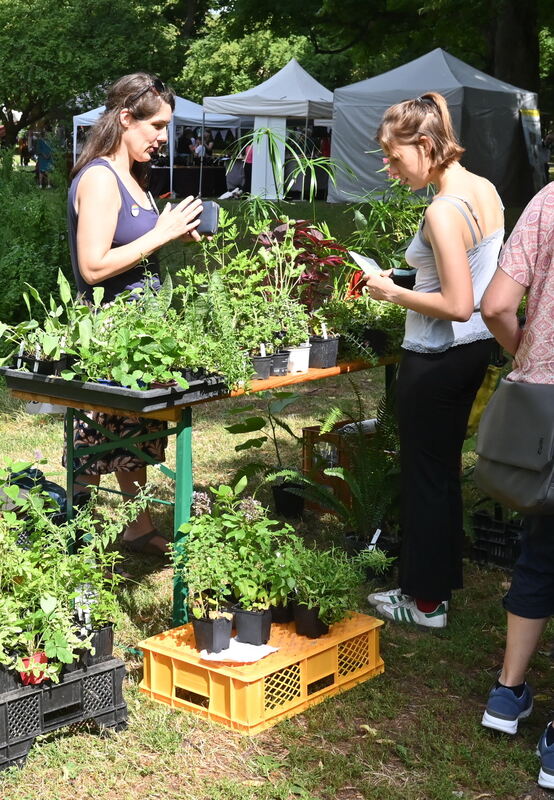 Neigschmecktmarkt 2025 FOTOS JÜRGEN MEYER_18