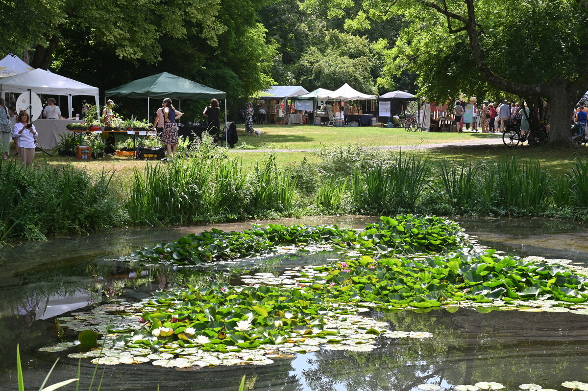 Neigschmecktmarkt 2025 FOTOS JÜRGEN MEYER_20