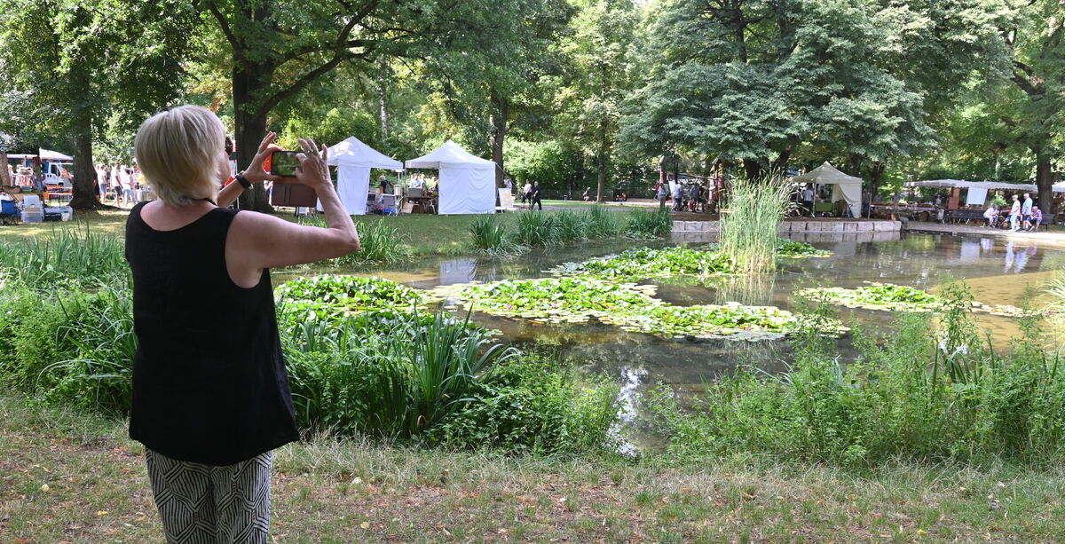 Neigschmecktmarkt 2025 FOTOS JÜRGEN MEYER_22