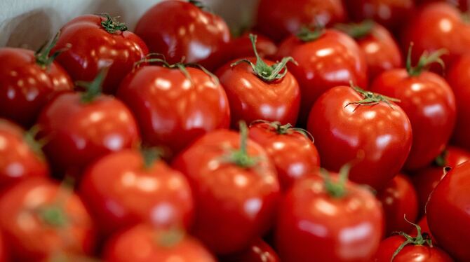Messe - Fruit Logistica