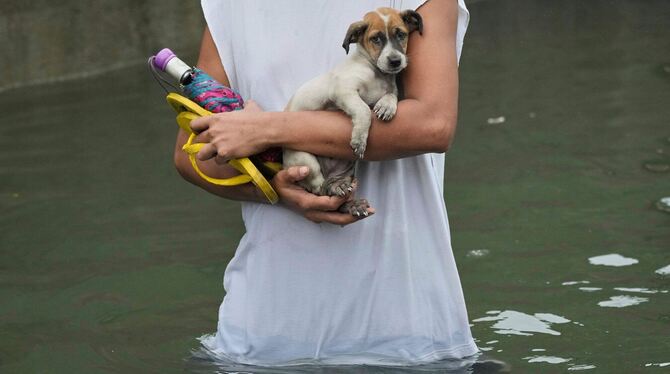 Monsun auf den Philippinen