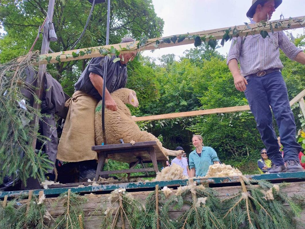 Schäferlauf 2025 (4)