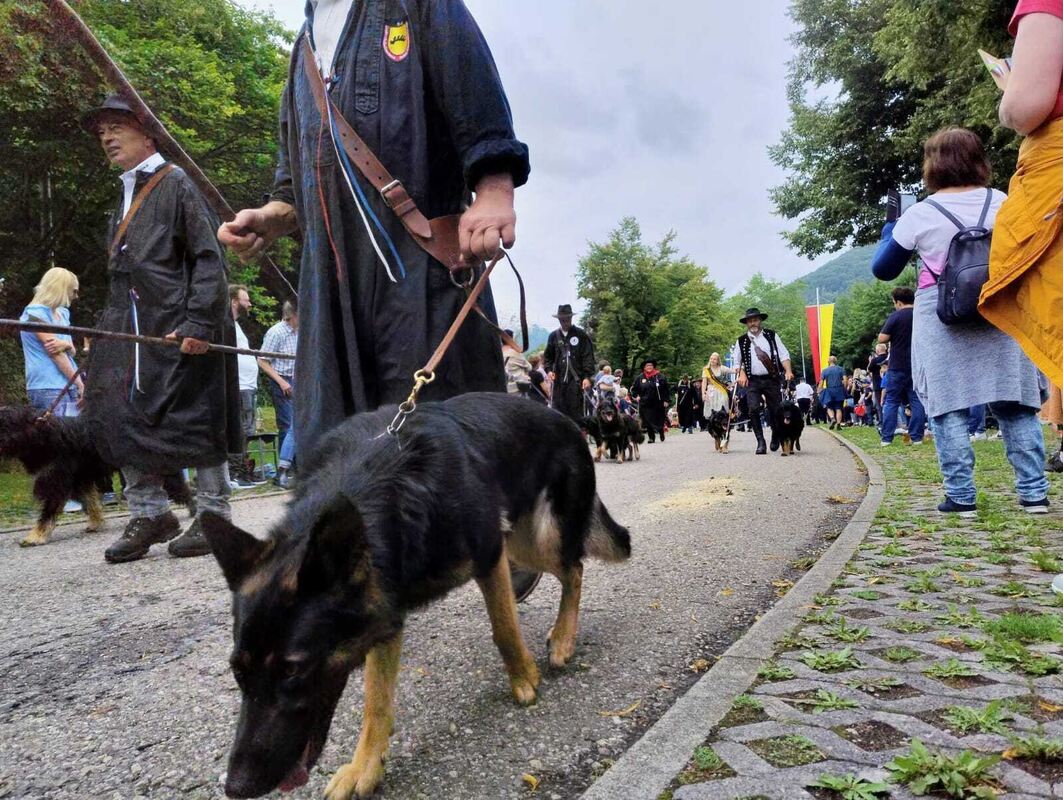 Schäferlauf 2025 (9)