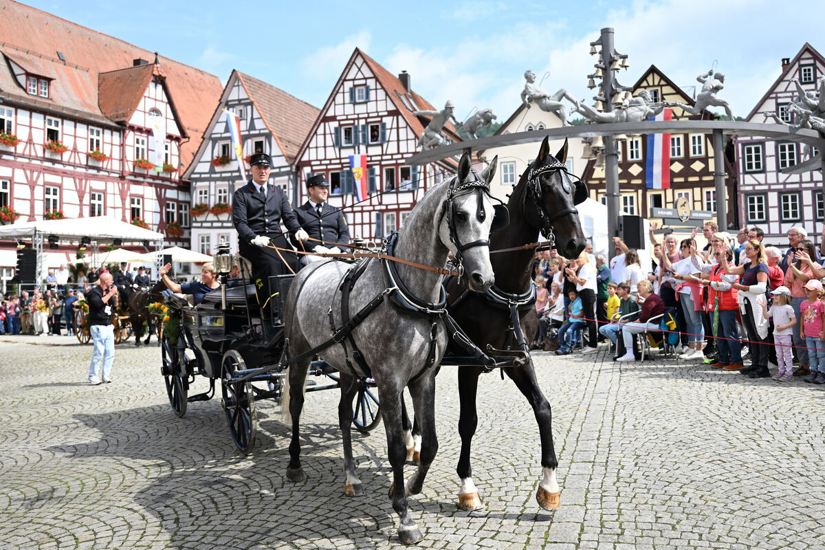 schaeferlauf_25_pieth_7