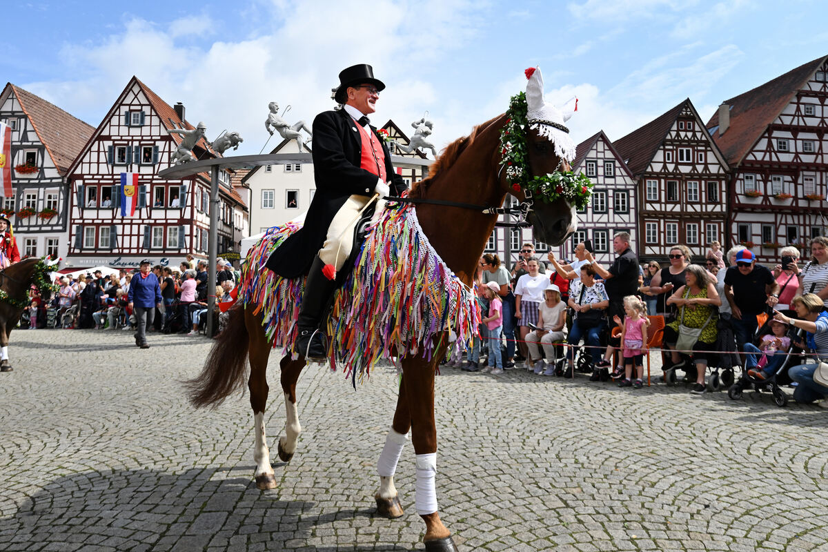 schaeferlauf_25_pieth_3