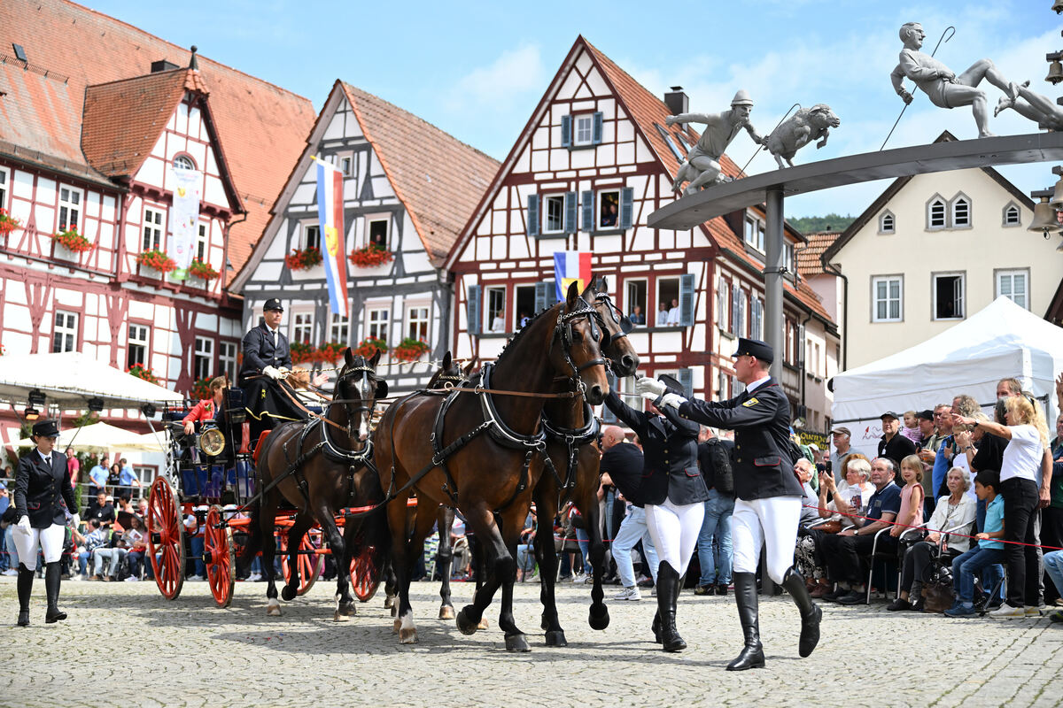 schaeferlauf_25_pieth_6