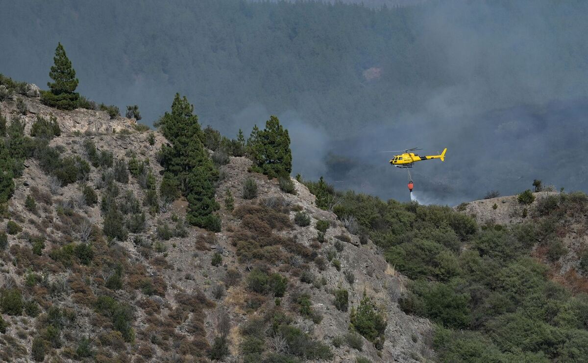 Waldbrände auf den Kanaren Waldbrände auf den Kanaren