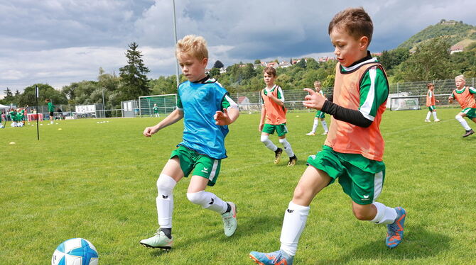 2025-07-31 Fußball-Camp TSV Eningen,Kids kicken Kämpfen, rennen, Tore schießen: drei Tage lang hatten die Kids von sechs bis 14 Jahren auf dem Eninger Sportgelände viel Spaß.
