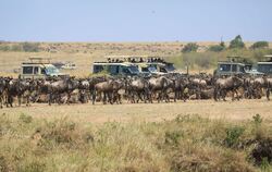 Masai Mara Nationalreservat in Kenia