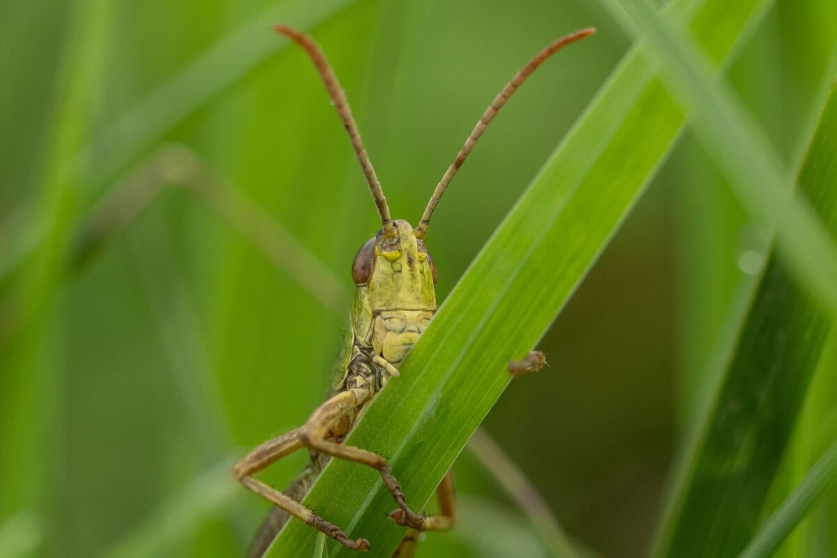 Wetter in Baden-Württemberg Wetter in Baden-Württemberg