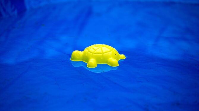 Swimmingpool Swimmingpool