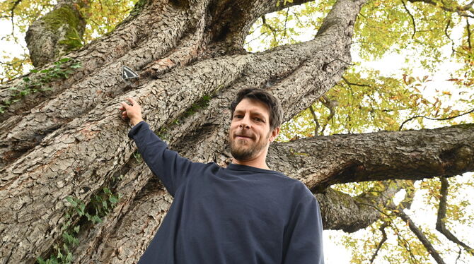 Naturdenkmale David Horle Mit über 120 Jahren ist die Kastanie sehr viel länger auf der Welt als David Horle, der sich als Projektleiter um Naturdenkmale