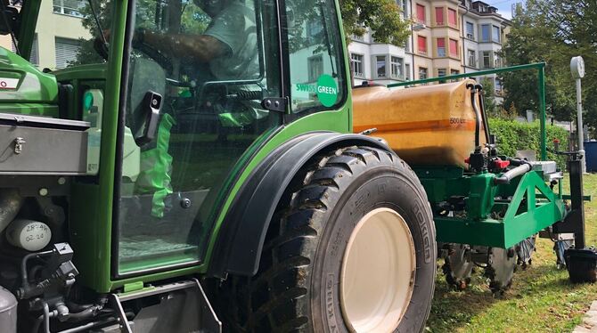 Fadenwürmer gegen Japankäfer Fadenwürmer gegen Japankäfer