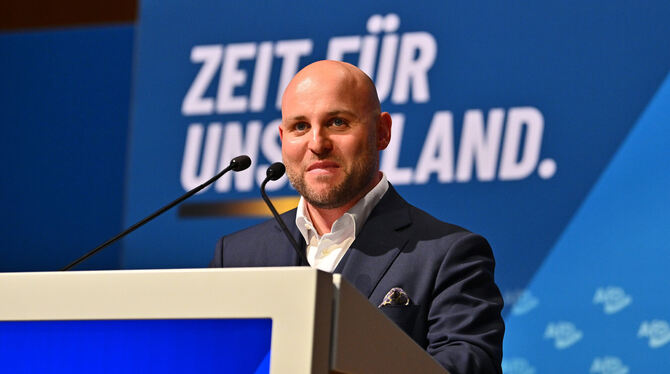 lsw, bwg, AfD, Updateme, Educateme, Wahlen, Parteien, Landtag Markus Frohnmaiers Vergangenheit ist gepflastert mit Fragezeichen.