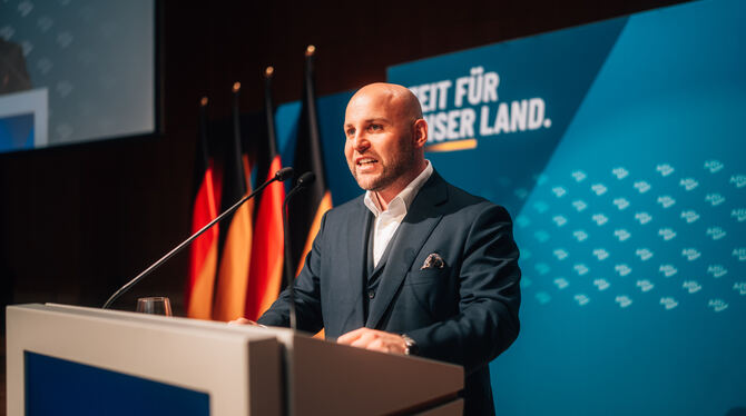 Frohnmaier Markus Frohnmaier ist AfD-Spitzenkandidat für die Landtagswahl 2026 in Baden-Württemberg.
