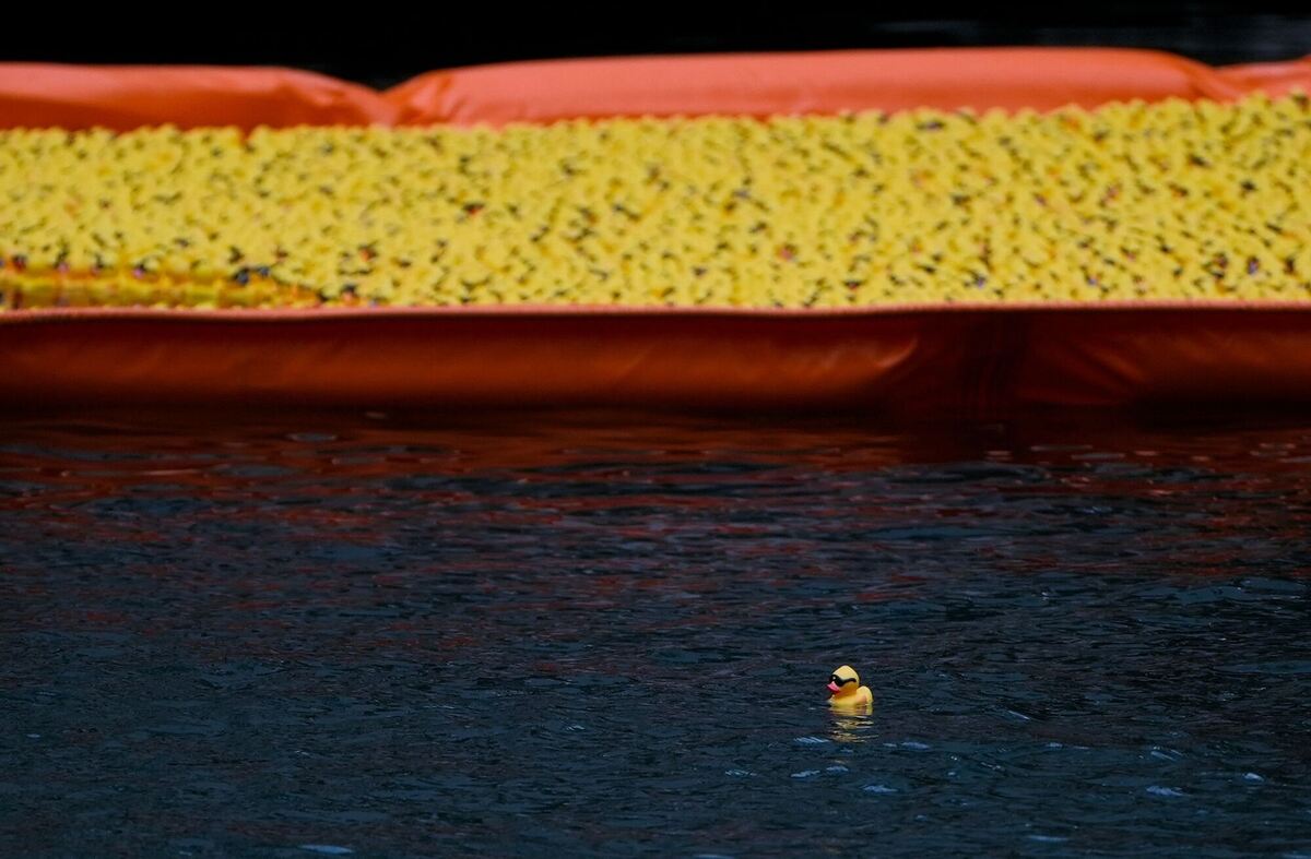 Ducky Derby Chicago