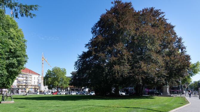 Listplatz Der Listplatz: Aus der Distanz betrachtet, wirkt er durchaus idyllisch. Hält dieser Eindruck der erlebten Realität Stand?