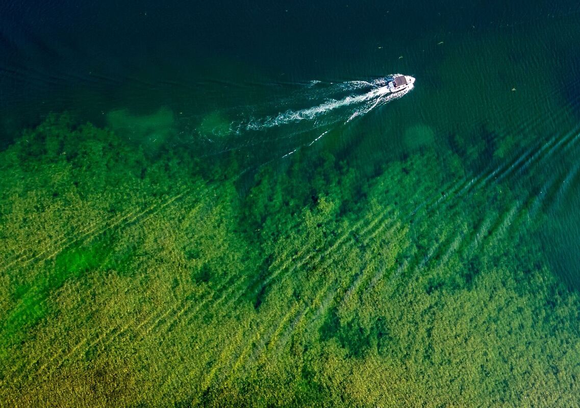 Sommerwetter - Sachsen-Anhalt