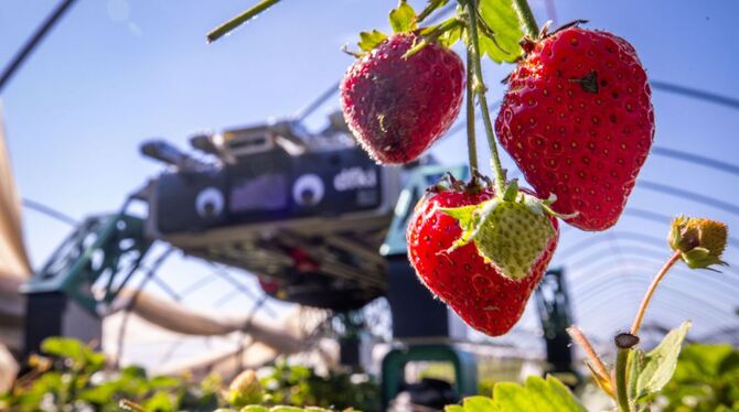 Deutsches Forschungszentrum für Künstliche Intelligenz (DFKI) . Deutsches Forschungszentrum für Künstliche Intelligenz (DFKI) .