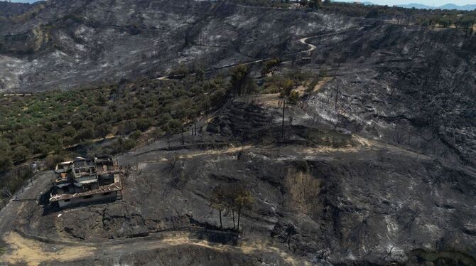 Waldbrände in Griechenland Waldbrände in Griechenland