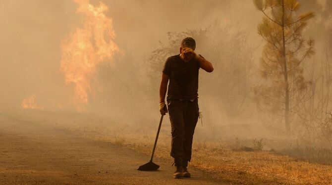 Waldbrände in Spanien Waldbrände in Spanien