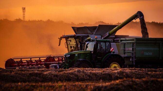 Getreideernte beim Sonnenuntergang Getreideernte beim Sonnenuntergang