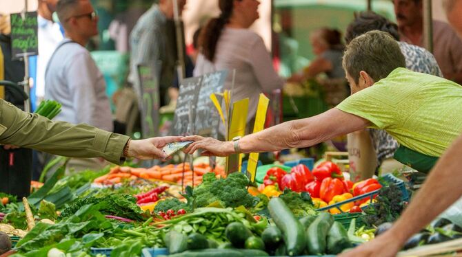 Mainz - Wochenmarkt Domplatz Mainz - Wochenmarkt Domplatz