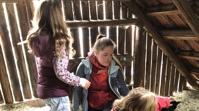 Chancengleichheit für Kinder: soziale Teilhabe bei gemeinsamen Ausflügen.