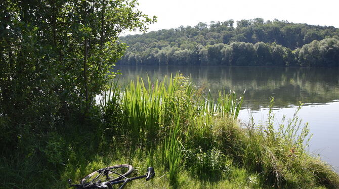 Der Badespaß im Kirchentellinsfurter Baggersee ist ungetrübt: Das Gesundheitsamt hat dem See das beste Qualitätssiegel attestier Der Badespaß im Kirchentellinsfurter Baggersee ist ungetrübt: Das Gesundheitsamt hat dem See das beste Qualitätssiegel attestier