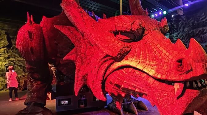 Gewaltig und beeindruckend – der in seiner Höhle schlafende Further Drache. FOTOS: RAHMIG Gewaltig und beeindruckend – der in seiner Höhle schlafende Further Drache. FOTOS: RAHMIG