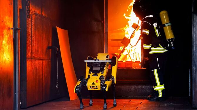 KI-Roboter soll Waldbrände löschen KI-Roboter soll Waldbrände löschen