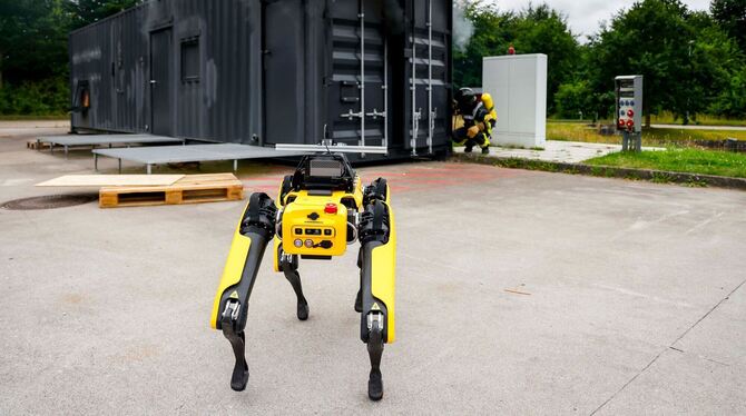 KI-Roboter soll Waldbrände löschen KI-Roboter soll Waldbrände löschen