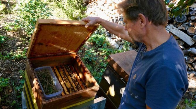 Hobby-Imkerei Hobby-Imkerei