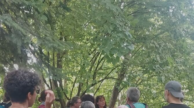 Bachwanderung Gomaringen Anhand von alten Bildern erklärt Birgit Wallisser-Nuber den Teilnehmenden die Geschichte der Wiesaz.