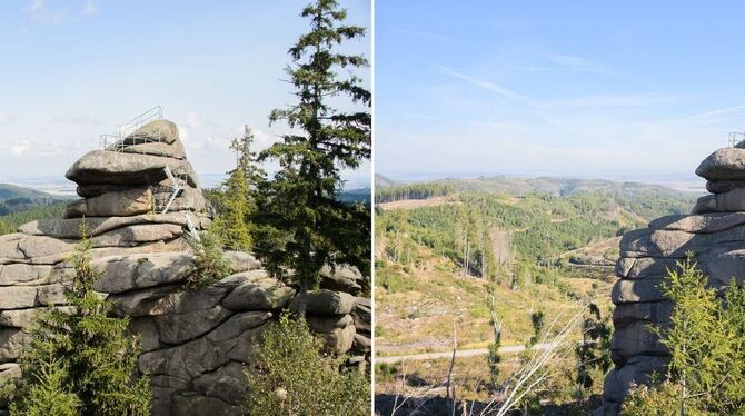 Wie der Klimawandel Deutschland verändert - Waldsterben im Harz Wie der Klimawandel Deutschland verändert - Waldsterben im Harz
