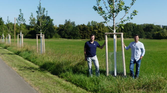 Baumallee Georg Frey (links), Abteilungsleiter für Grünflächen und Umwelt, und Lucas Baum, Fachgebietsleiter für Grünflächenplanung, haben