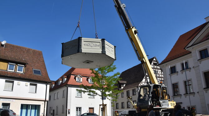 alb historischer burnnen gammertingen Da kommt er wieder, der historische Brunnen.