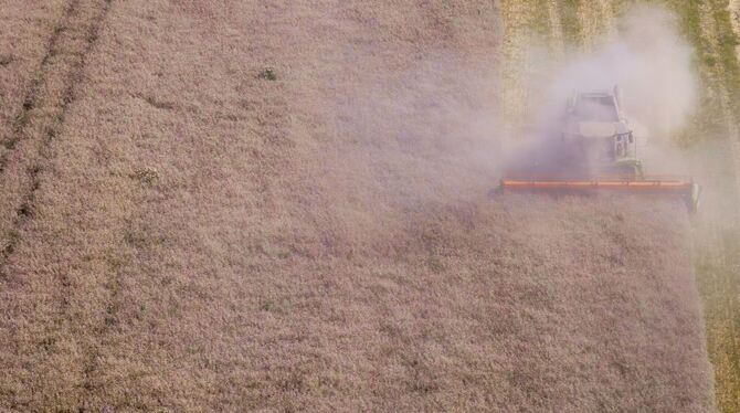 Erntebilanz des Bauernverbands Erntebilanz des Bauernverbands