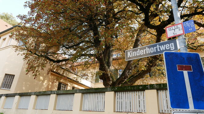 Gmindersdorf Schülerhort Der Gmindersdorfer Schülerhort hat am Freitag zugemacht, beschlossen worden war das bereits 2022.