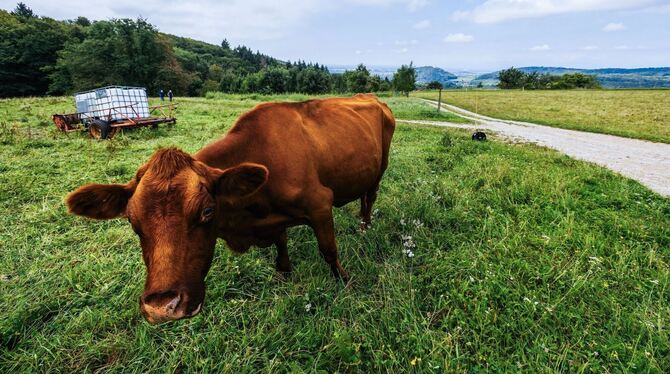 Wetter in Baden-Württemberg Wetter in Baden-Württemberg
