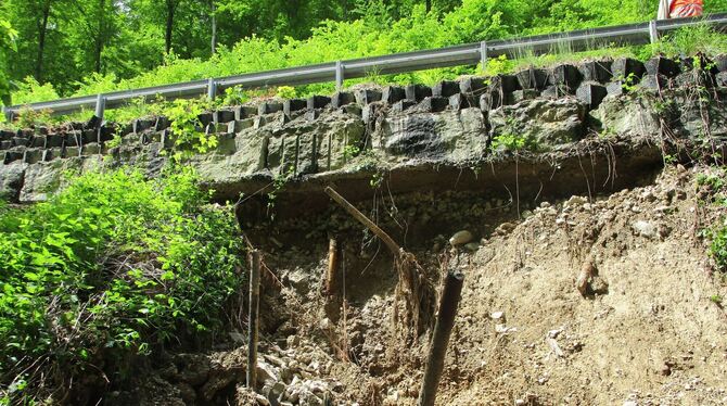Eine Steige, die immer wieder ins Rutschen gerät: Das Bild ist am 27. Mai 2019 nach starken Regenfällen entstanden.  FOTO: RP
