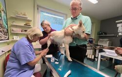 Michael Donth war im Rahmen seiner Sommertour einen Vormittag als »Praktikant« in der Kleintierpraxis von Dr. Uschi Wilgenbus in