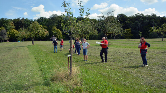 Zwar kamen nicht viel Interessierte zur Baumversteigerung nach Gomaringen, trotzdem wurden viele Bäume verkauft. FOTO: BARTELT Zwar kamen nicht viel Interessierte zur Baumversteigerung nach Gomaringen, trotzdem wurden viele Bäume verkauft. FOTO: BARTELT