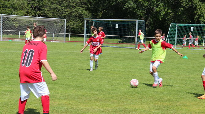 Die Gammertinger Kids sind voll bei der Sache.