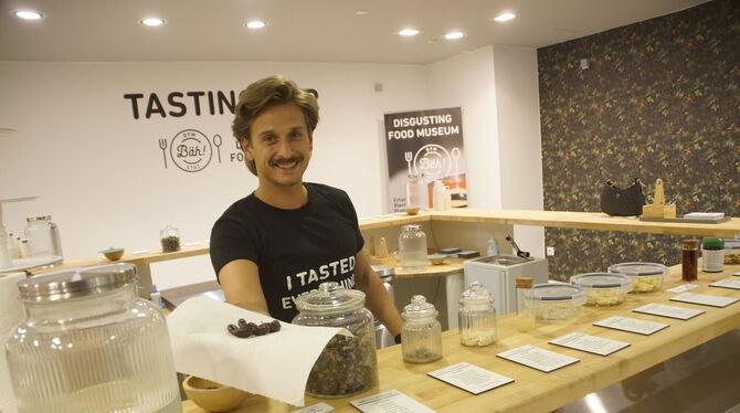 Disgusting Food Musuem Käfer Gefällig? Im Disgusting Food Museum darf probiert werden.