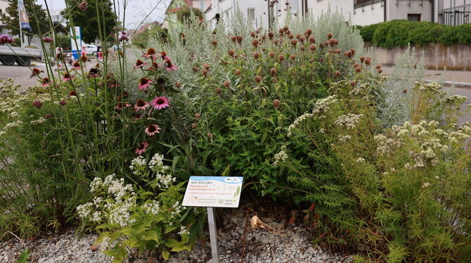 Auf den gemeindeeigenen Beeten wird nun mit Schafwollpellets gedüngt. Kleine Schilder machen darauf aufmerksam.