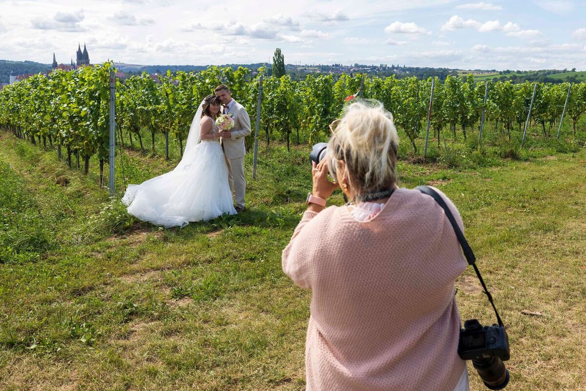 26. Tage des offenen Weingutes