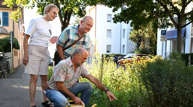 Beet-Paten; Charlottenstraße; Oststadt; Katharina Wiebel und Karl-Heinz Krauß sowie Martin Röder (mit Gießkanne) gehören zu den Ehrenamtlichen, die blühende Oasen entla