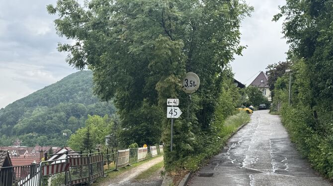 Die beiden Straßenabschnitte der Straße »Am Hochberg« sind sanierungsbedürftig - der untere, nicht asphaltierte Weg bricht weg.