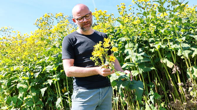 Ein Mann und die »Durchwachsene Silphie«: Der Pflanze widmet der neue Leiter der Lindenhöfe unter anderem seine Aufmerksamkeit,